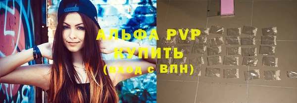 винт Горно-Алтайск