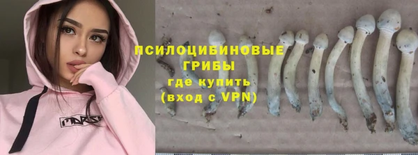 MDMA Premium VHQ Гусиноозёрск