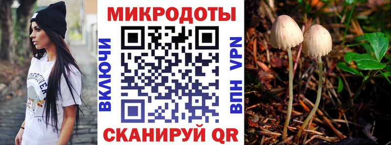 Псилоцибиновые грибы GOLDEN TEACHER  Купить где  Кедровый 
